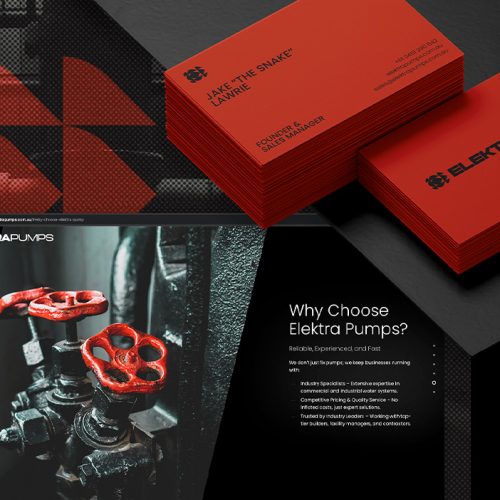 Elektra Pumps