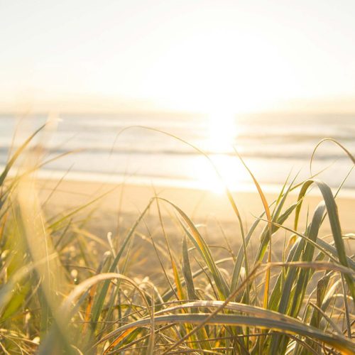 Climate Leaders Coalition